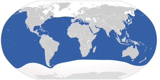 hábitat del tiburon blanco - wikipces.net