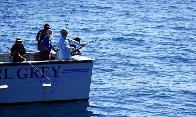 Pesca deportiva del bonito sarda sarda - wikipces.net