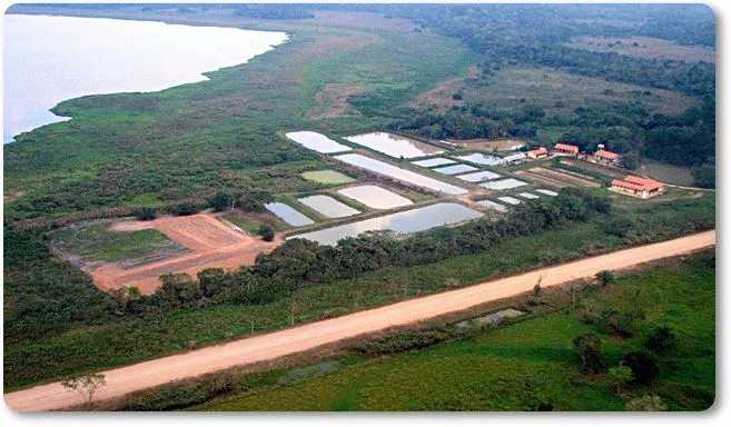 Proyecto de acuicultura en el Amazonas - wikipeces.net