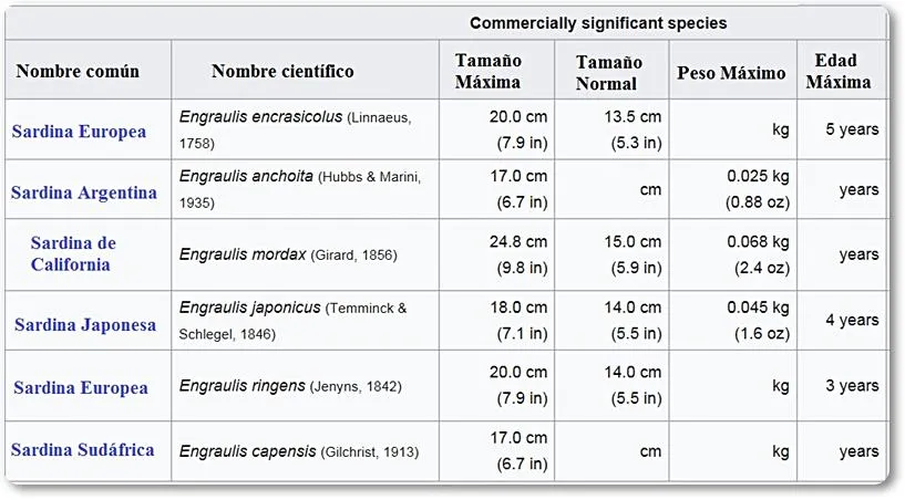 Principales especies de sardinas - wikipeces.net