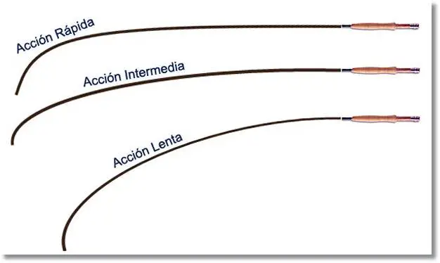 Tipos de cañas según la acción de la punta - wikipeces.net